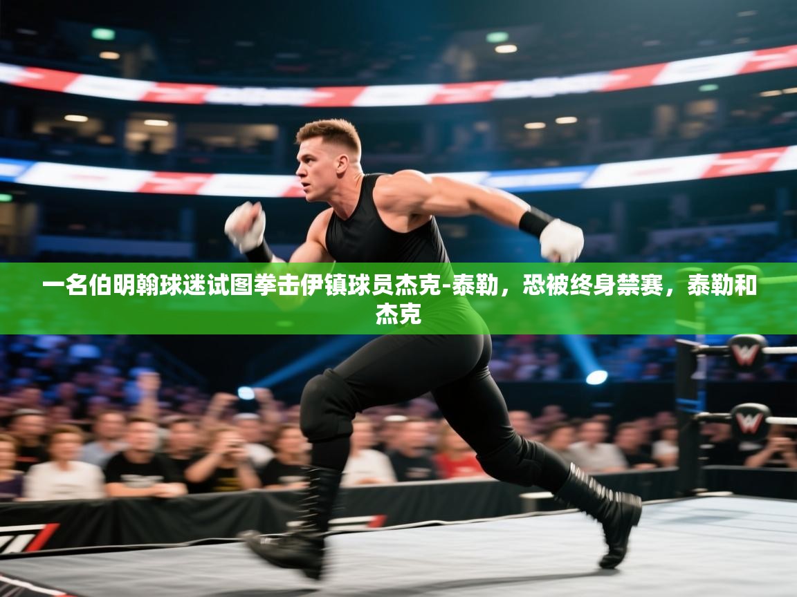 蓝鲸体育直播tv版-一名伯明翰球迷试图拳击伊镇球员杰克-泰勒，恐被终身禁赛，泰勒和杰克