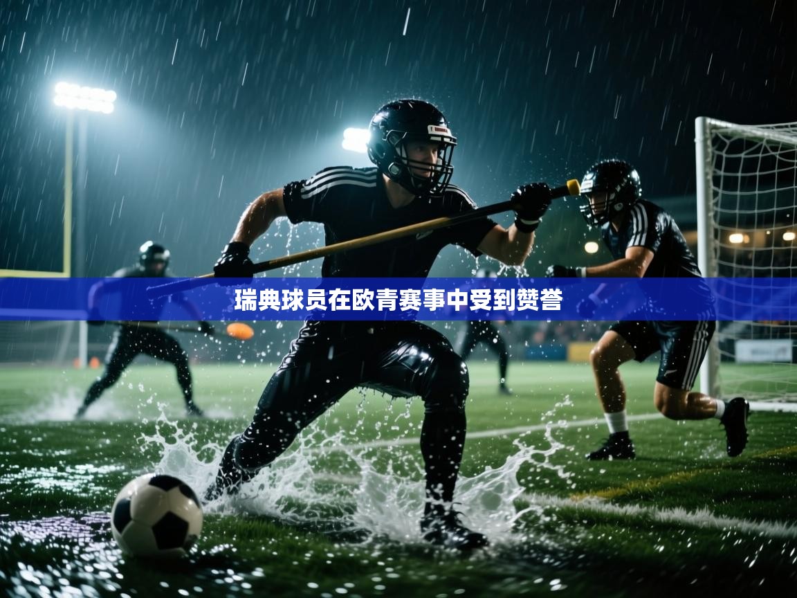 鲸鱼体育app-瑞典球员在欧青赛事中受到赞誉