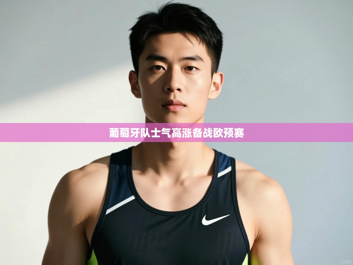 -葡萄牙队士气高涨备战欧预赛